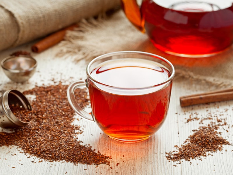 infusion rooibos