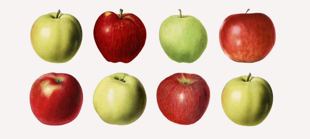 La pomme : origine, bienfaits et différentes variétés
