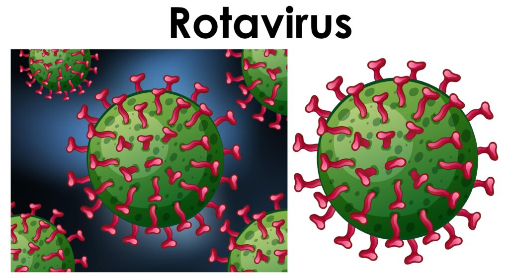 rotavirus provoque la diarrhée