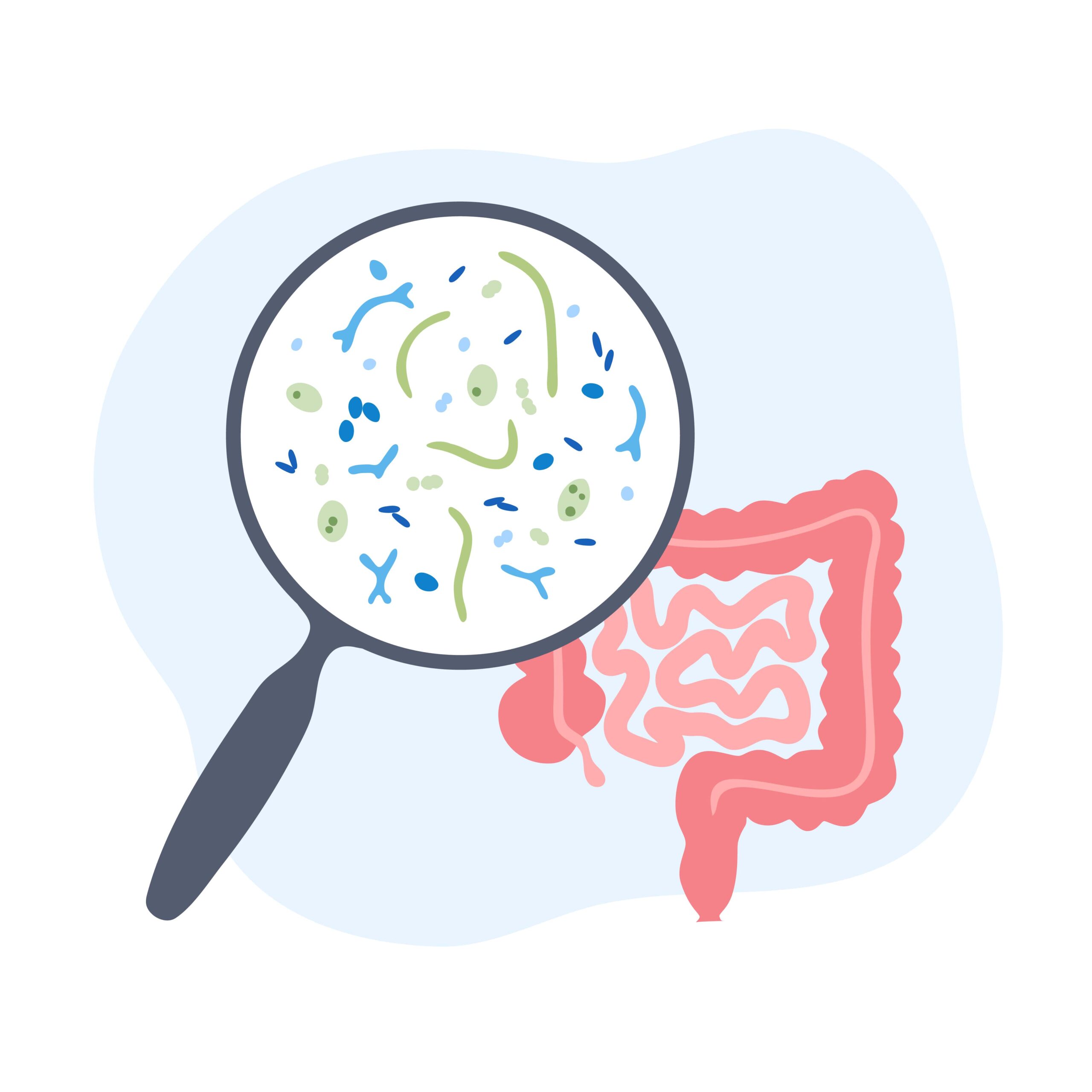 microbiote intestinal