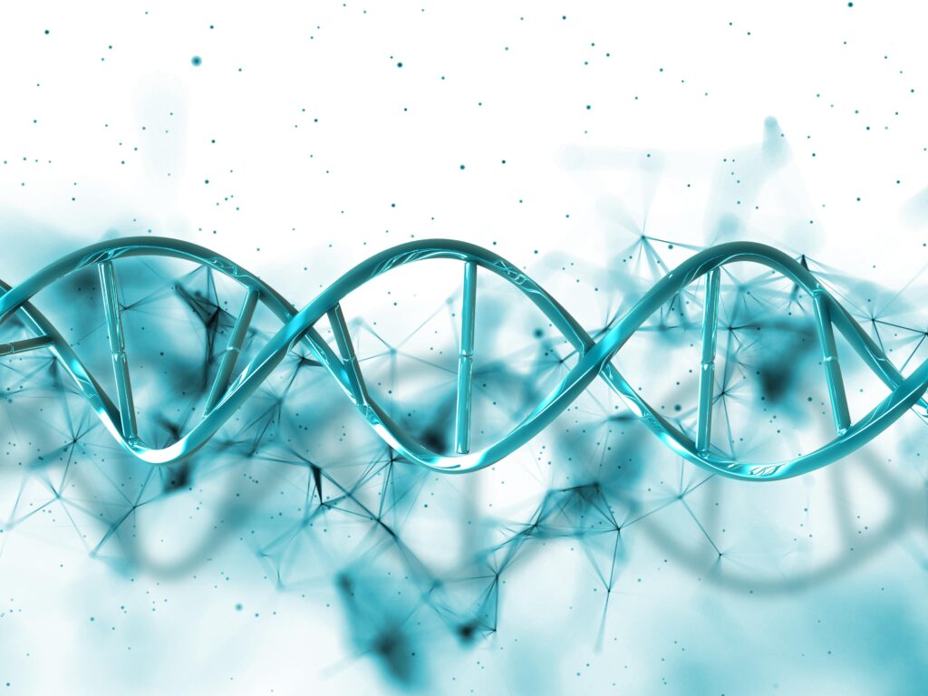 ADN génétique