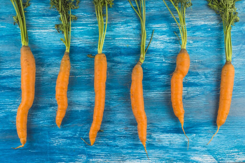 carottes aliments faibles en sucre
