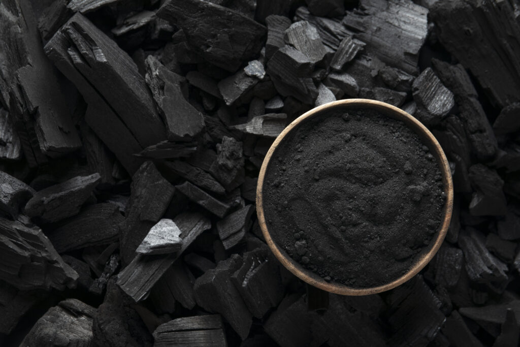 charbon végétal pour la digestion