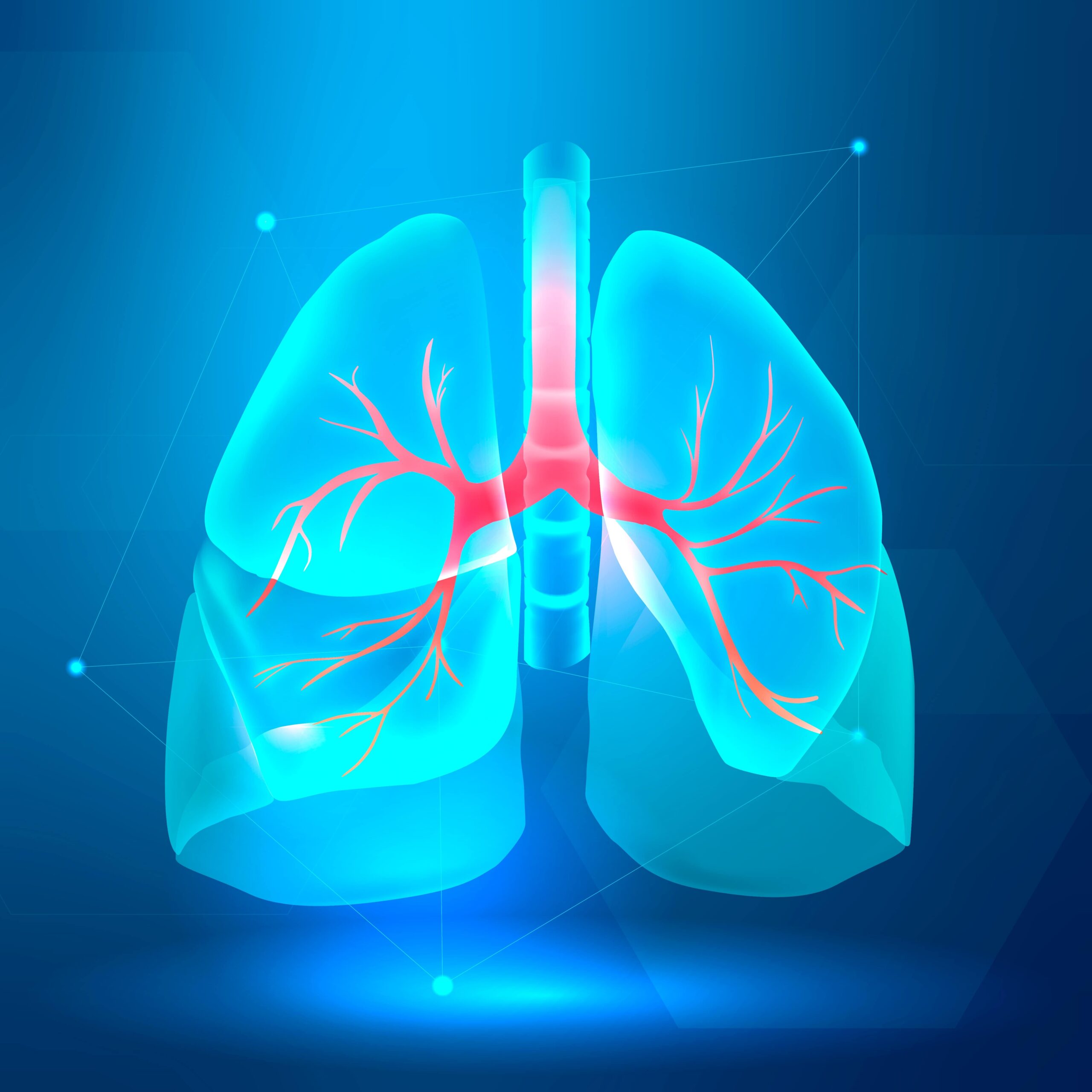 Легкие бесплатные картинки. Легкие вектор. Лёгкие. Легкие картинки. Дыхательная система здорового человека.