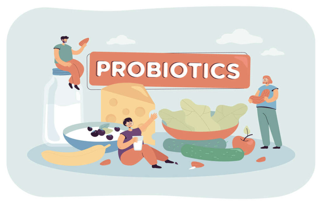 Sources Alimentaires de Probiotiques 