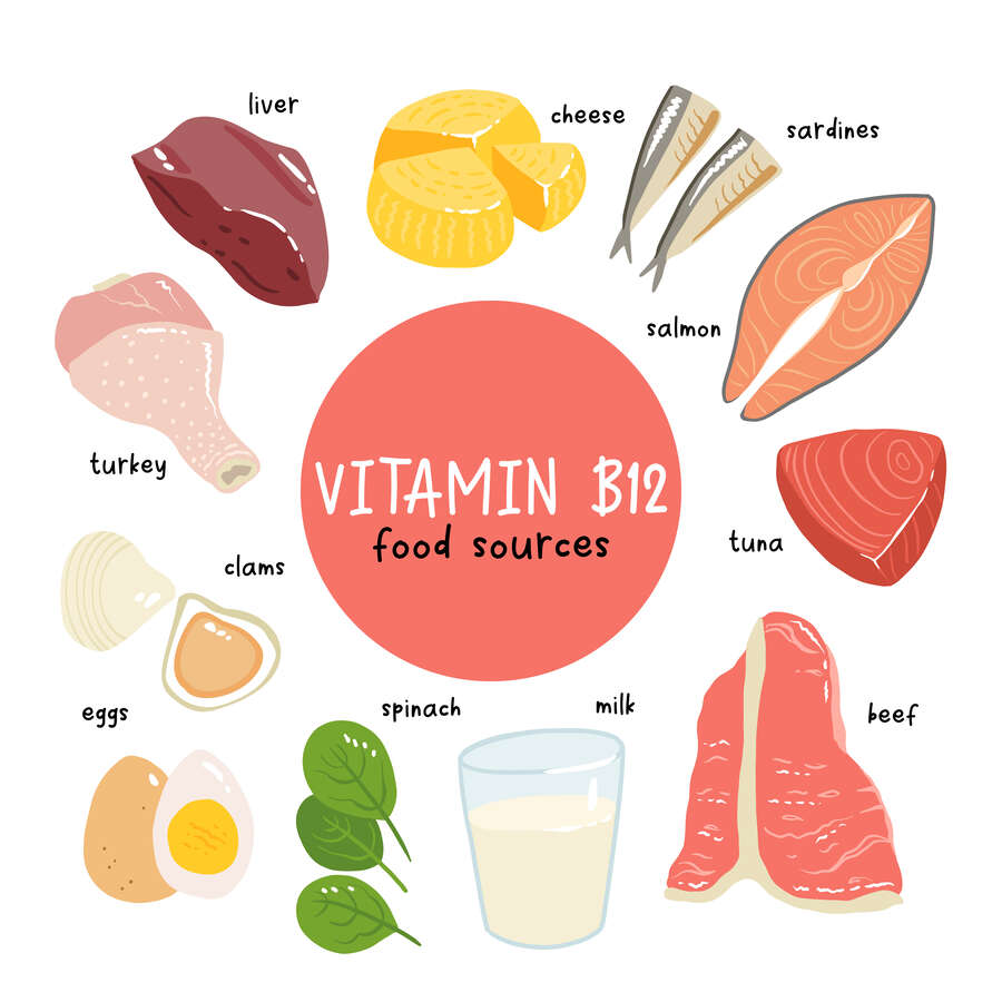 vitamine b12 aliments